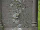 image of grave number 788583